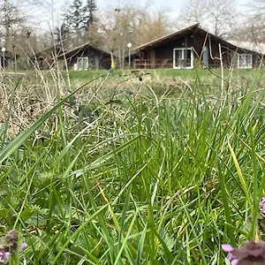 camping-de-la-chalaronne.hotels-rhonealpes.com/